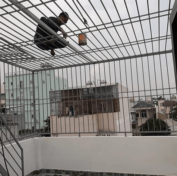 Chuồng Cọp Có Đắt Không? Báo Giá Làm Chuồng Cọp Tại Hà Nội – Giải Pháp An Toàn, Kinh Tế Cho Mọi Nhà